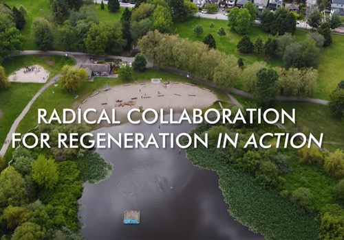 Regeneration