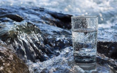 Raw water fad touches a nerve for the industry