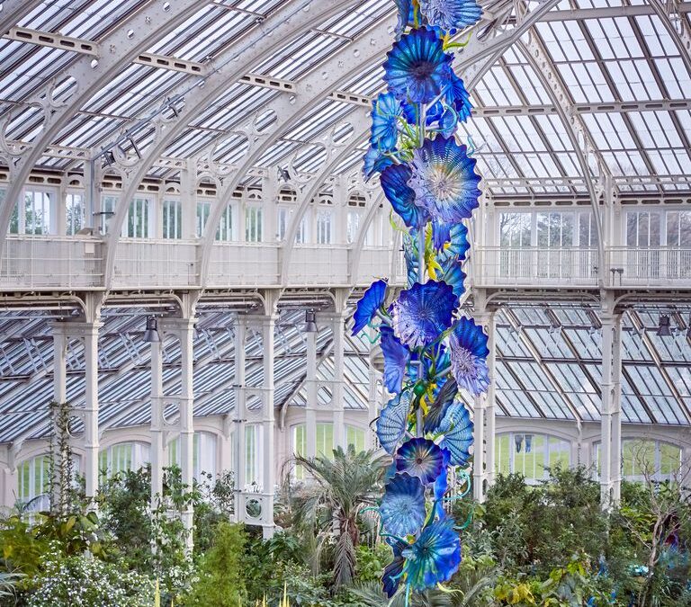 dale-chihuly-temperate-house-persians-2019-and-yellow-herons-and-reeds-2007-13-royal-botanic-gardens-kew-london-installed-2019-1554972074