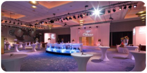 Conference 2013